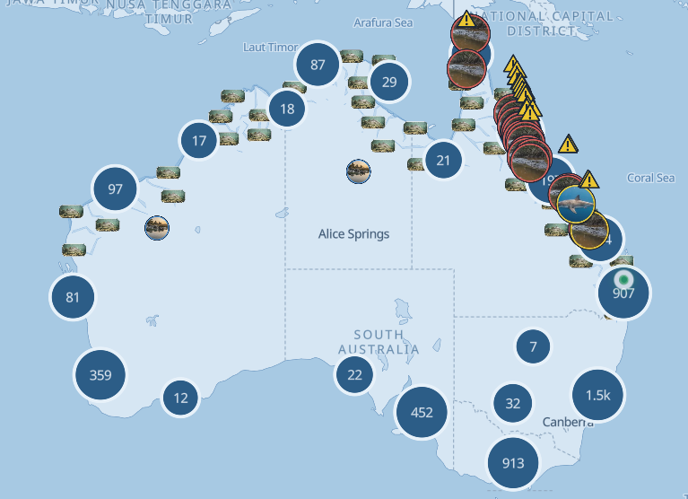 The map: departmental croc sightings ringed in red down the Queensland coast, a shark detection in yellow, and fishing spots around the country